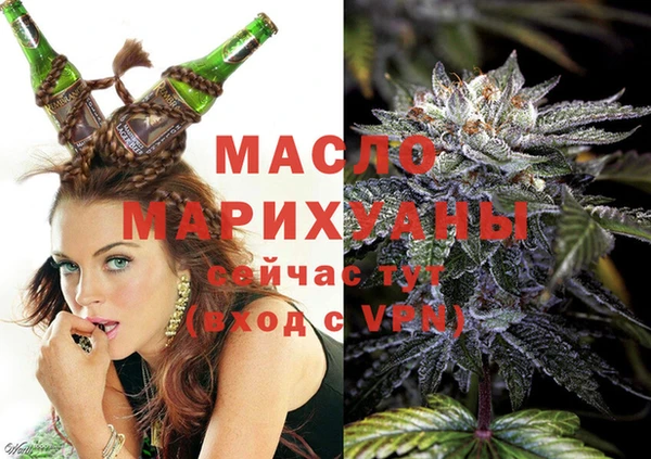 молекула духа Новозыбков