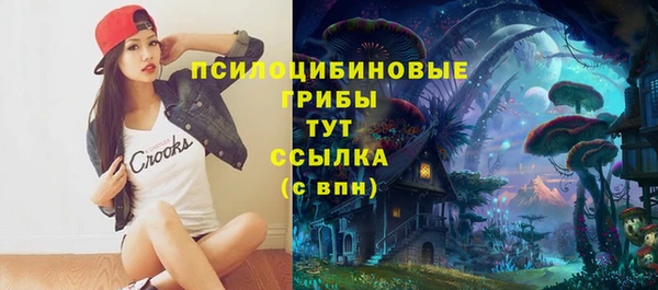 гидропоника Новокубанск